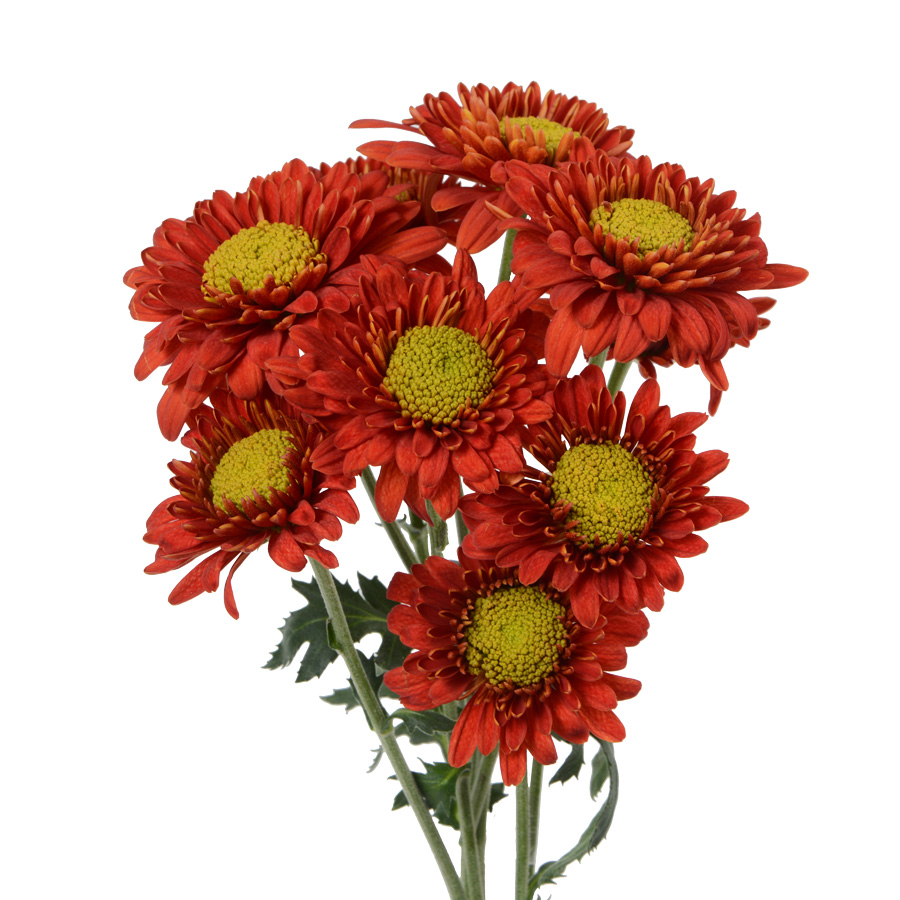 Candle | Premium Flowers