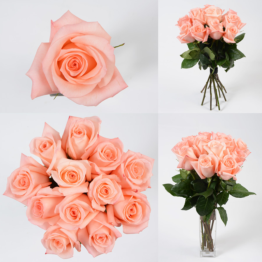 Engagement Premium Flowers