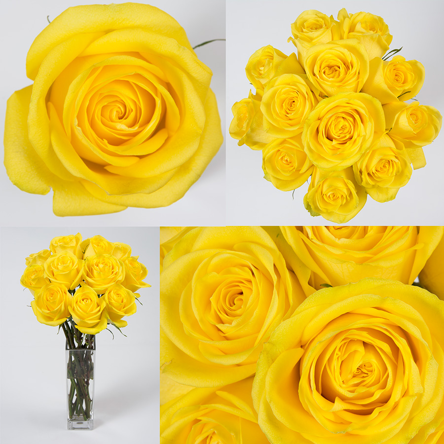 Latina | Premium Flowers