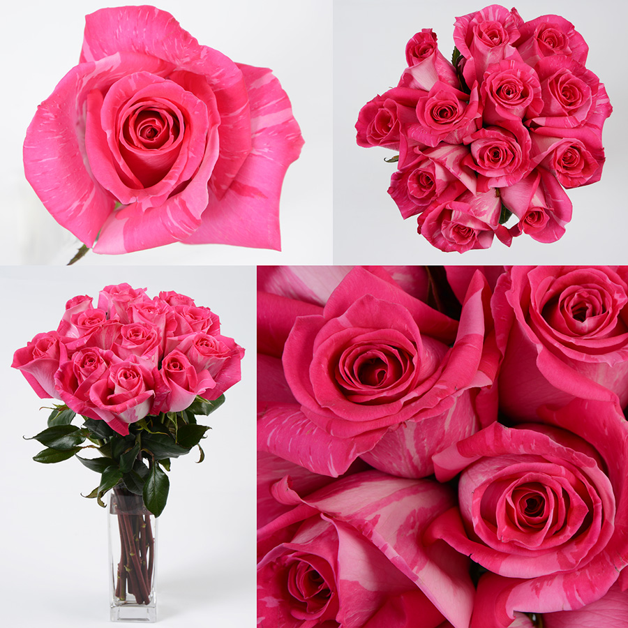 Wild Topaz Premium Flowers