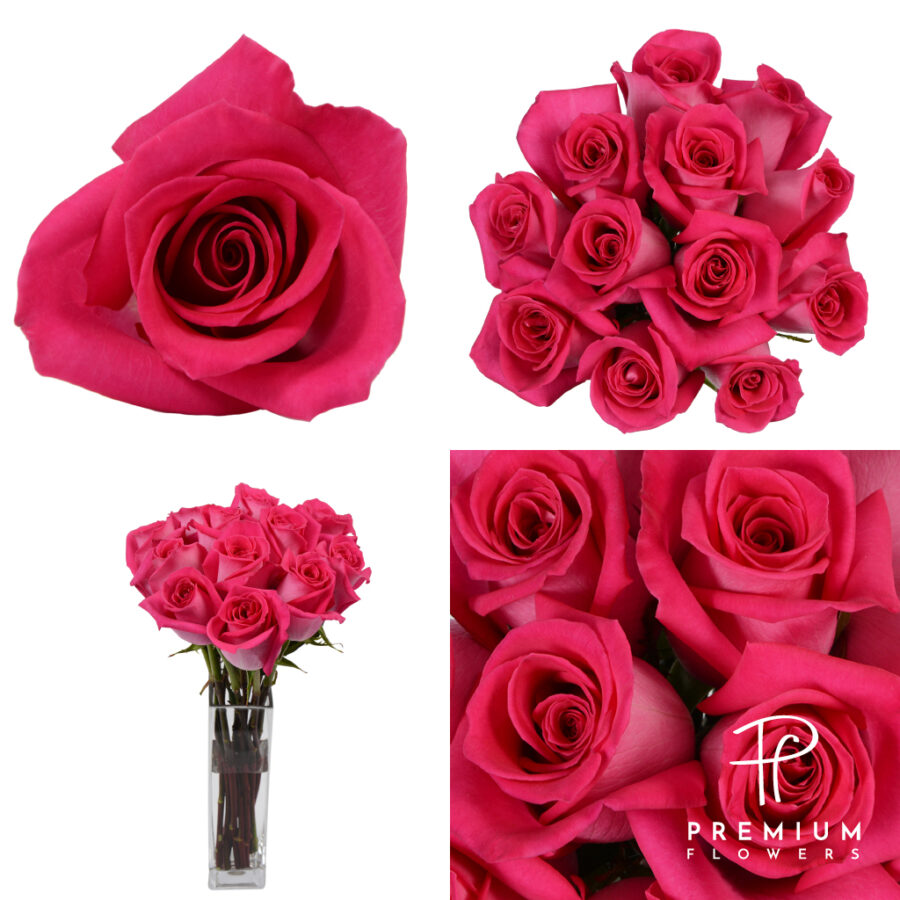 Topaz Premium Flowers